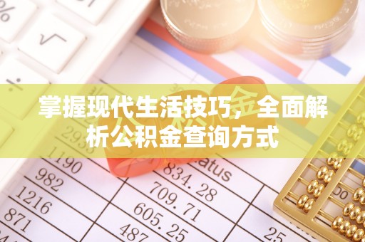 沙田掌握现代生活技巧，全面解析公积金查询方式
