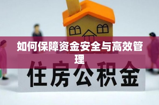 沙田如何保障资金安全与高效管理