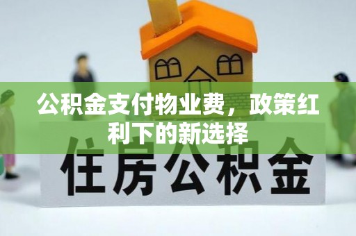 沙田公积金支付物业费，政策红利下的新选择