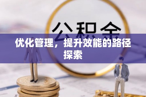 沙田优化管理，提升效能的路径探索