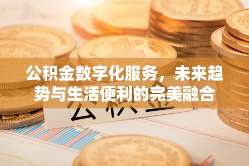 沙田公积金数字化服务，未来趋势与生活便利的完美融合