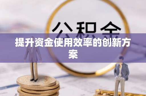 沙田提升资金使用效率的创新方案