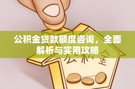 沙田公积金贷款额度咨询，全面解析与实用攻略