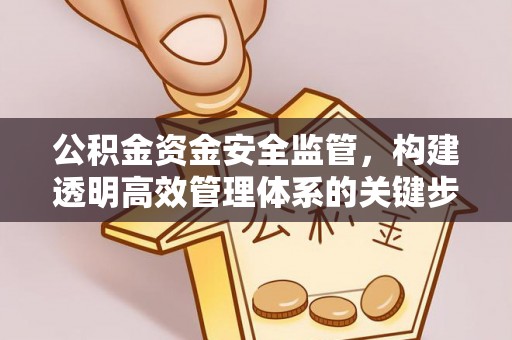 沙田公积金资金安全监管，构建透明高效管理体系的关键步骤