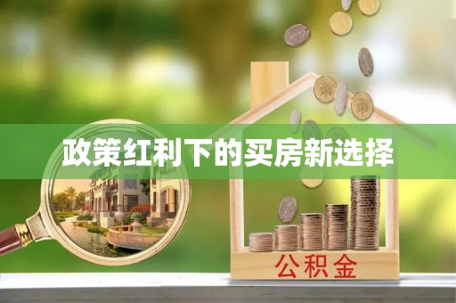 沙田政策红利下的买房新选择