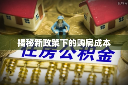沙田揭秘新政策下的购房成本